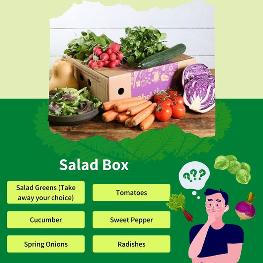 Salad Box | Healthy Snacking Made Easy