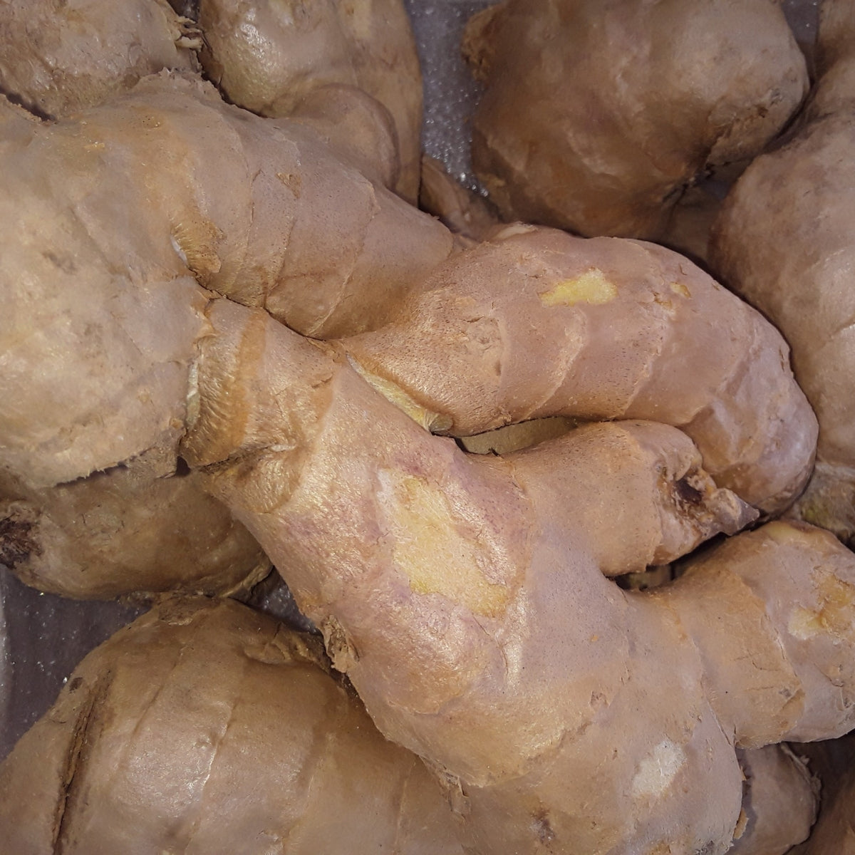 Ginger Root | Nature's Spicy Secret for Health and Flavor