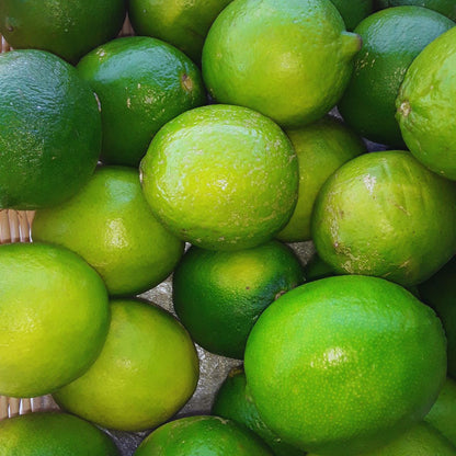 Limes | Citrusy Freshness Packed with Vitamin C