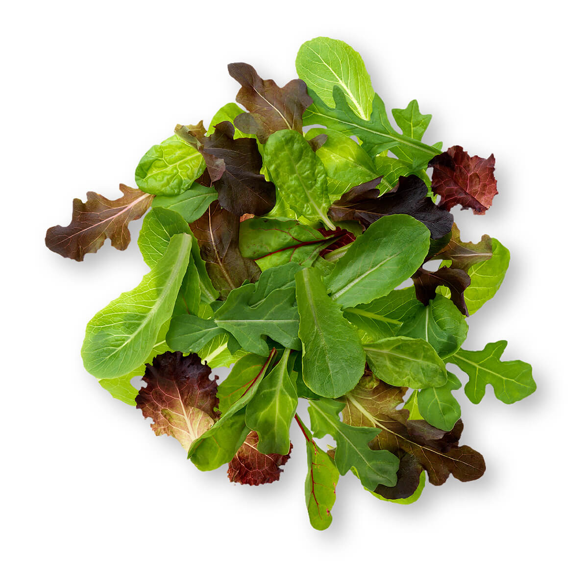 Delicious Spring Mix Lettuce