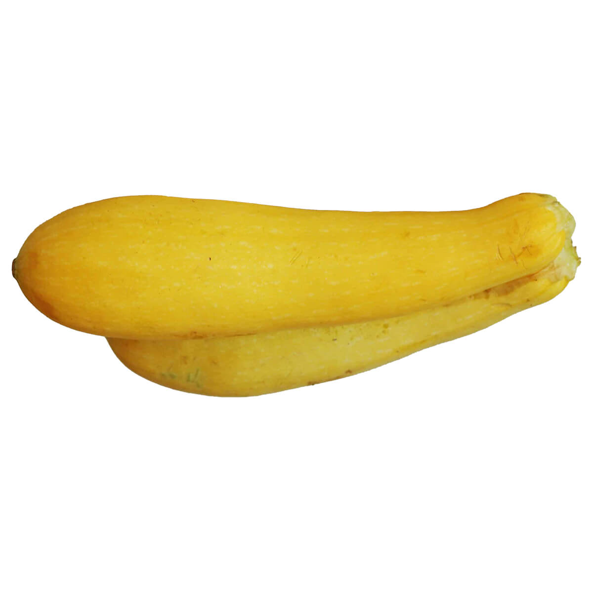 Delicious Yellow Squash