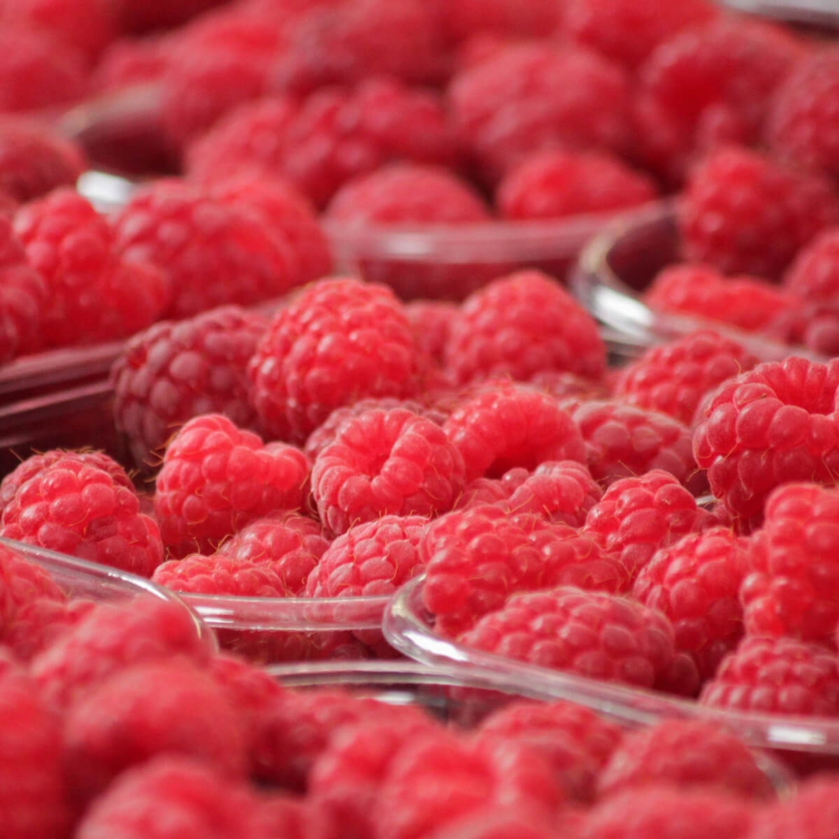 Fresh Raspberries