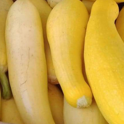 Nutritious Yellow Squash