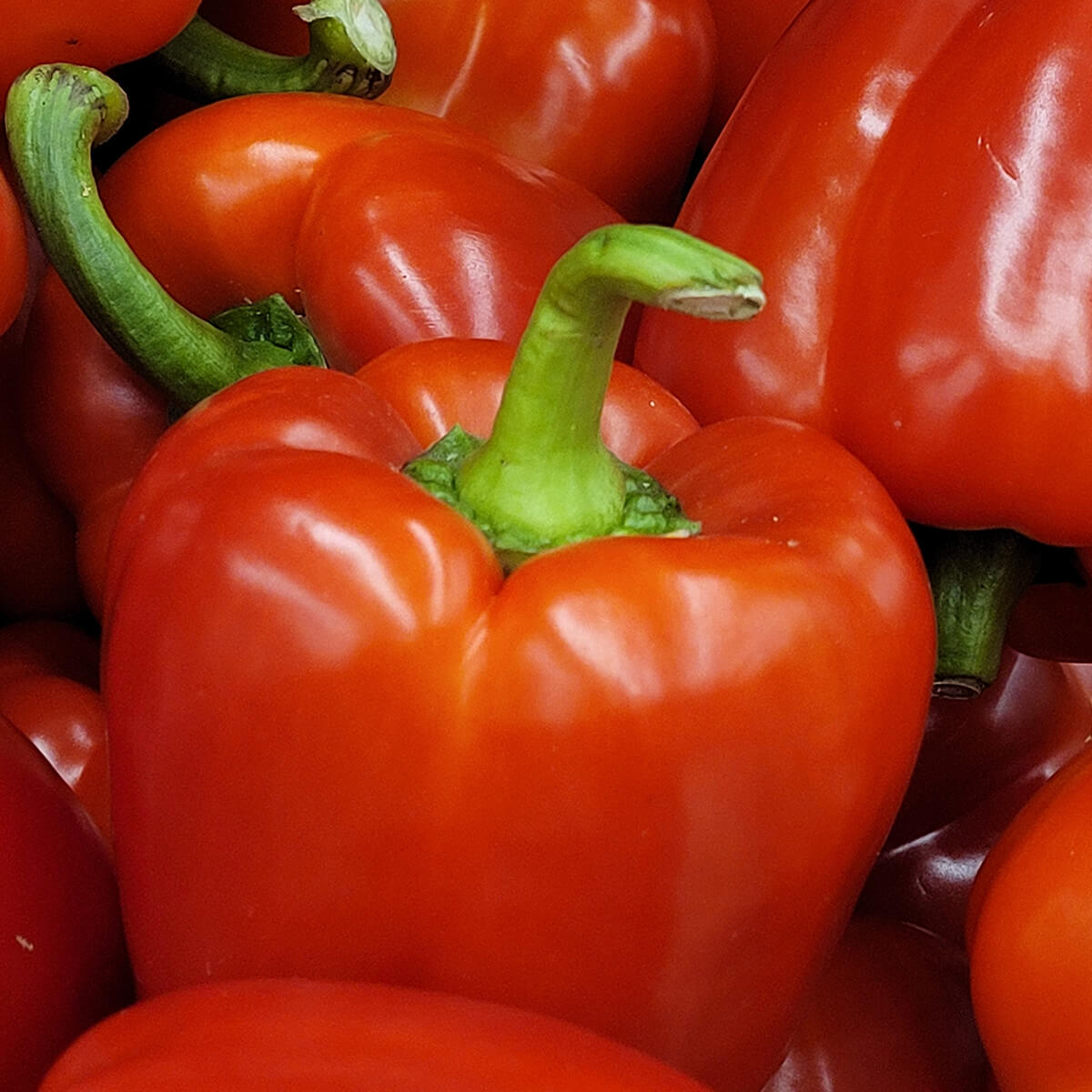 Tasty Red Bell Peppers